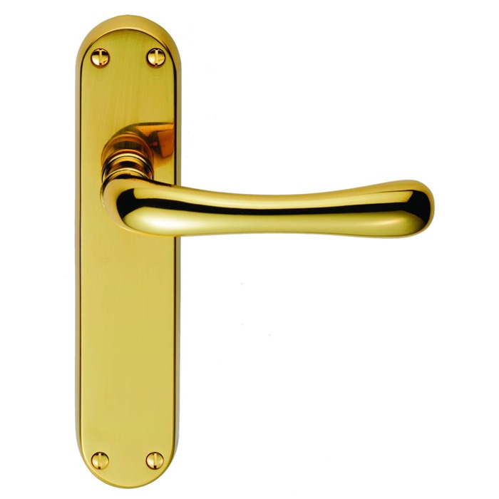 Ibra Lever Door Handle on Various Backplates